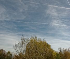 DSC_2651_DxO